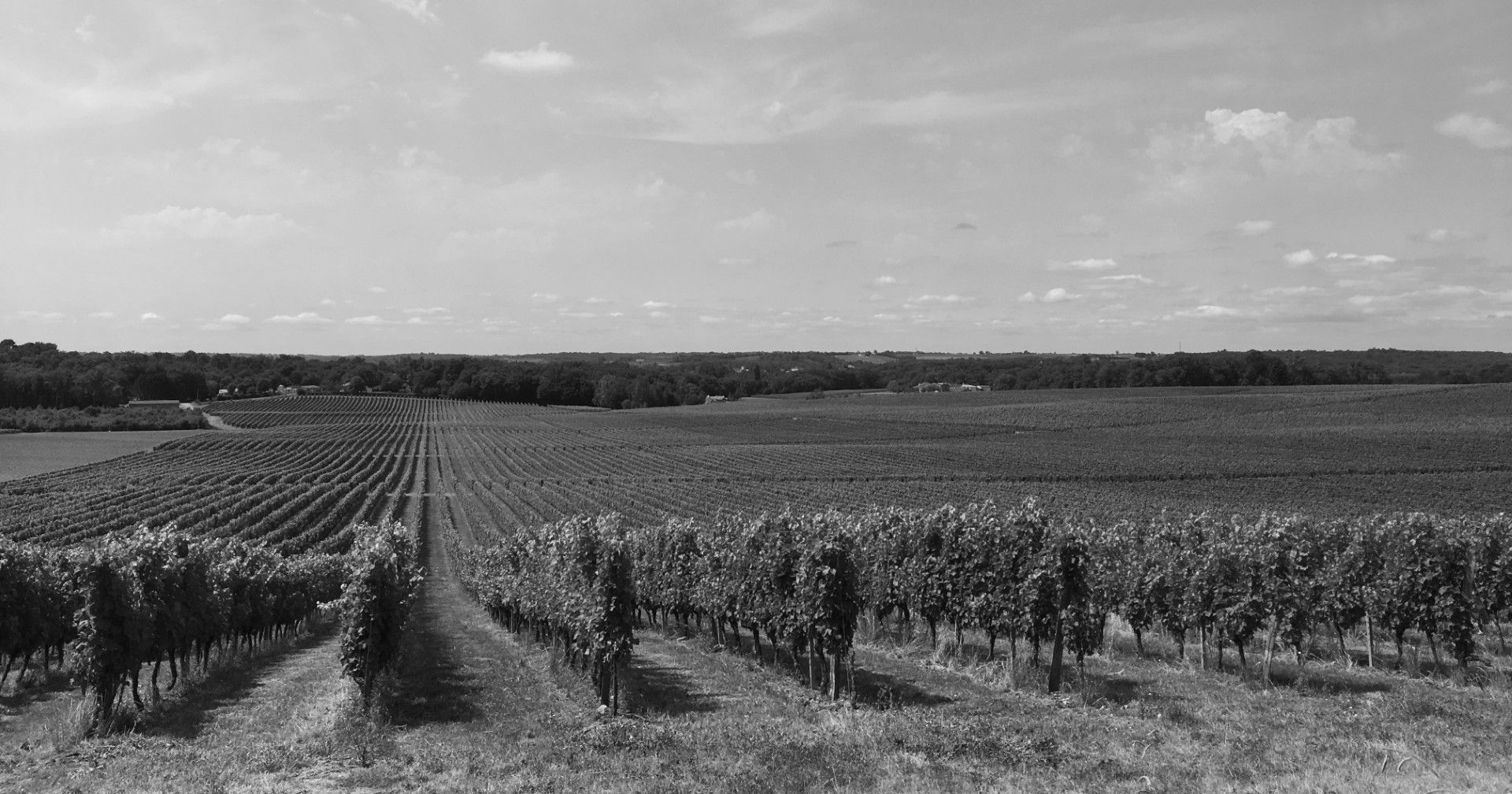 Harispe 4, inversión y gestión patrimonial en Málaga Visión